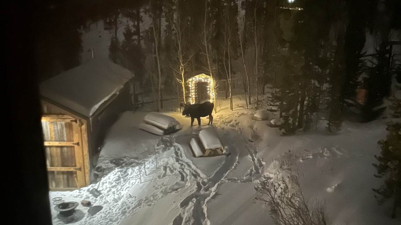 Photo of Outdoor in Forest Hills
