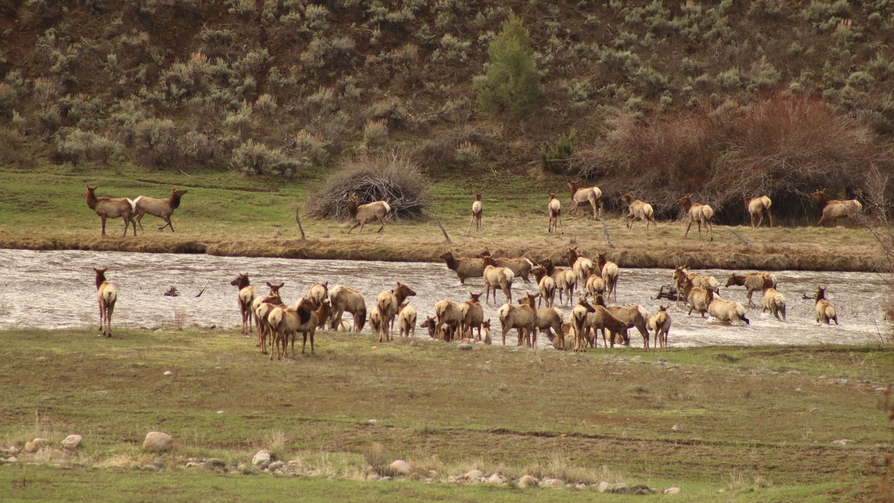 Photo of Others in Meeker