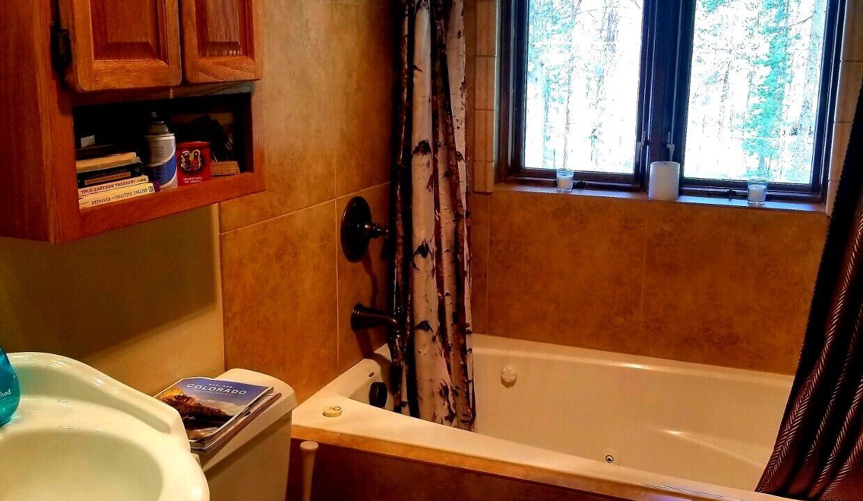 Photo of Bathroom in Leadville North