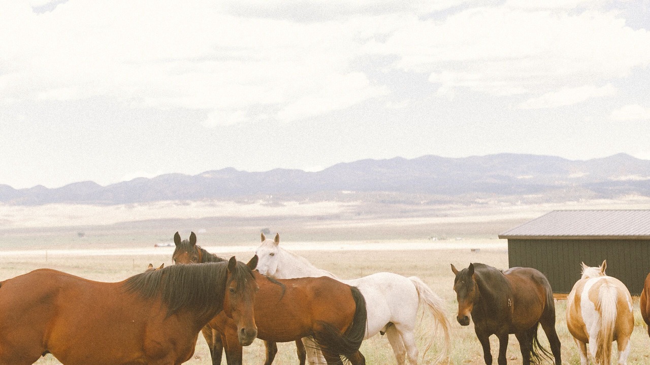 Photo of Outdoor in Westcliffe