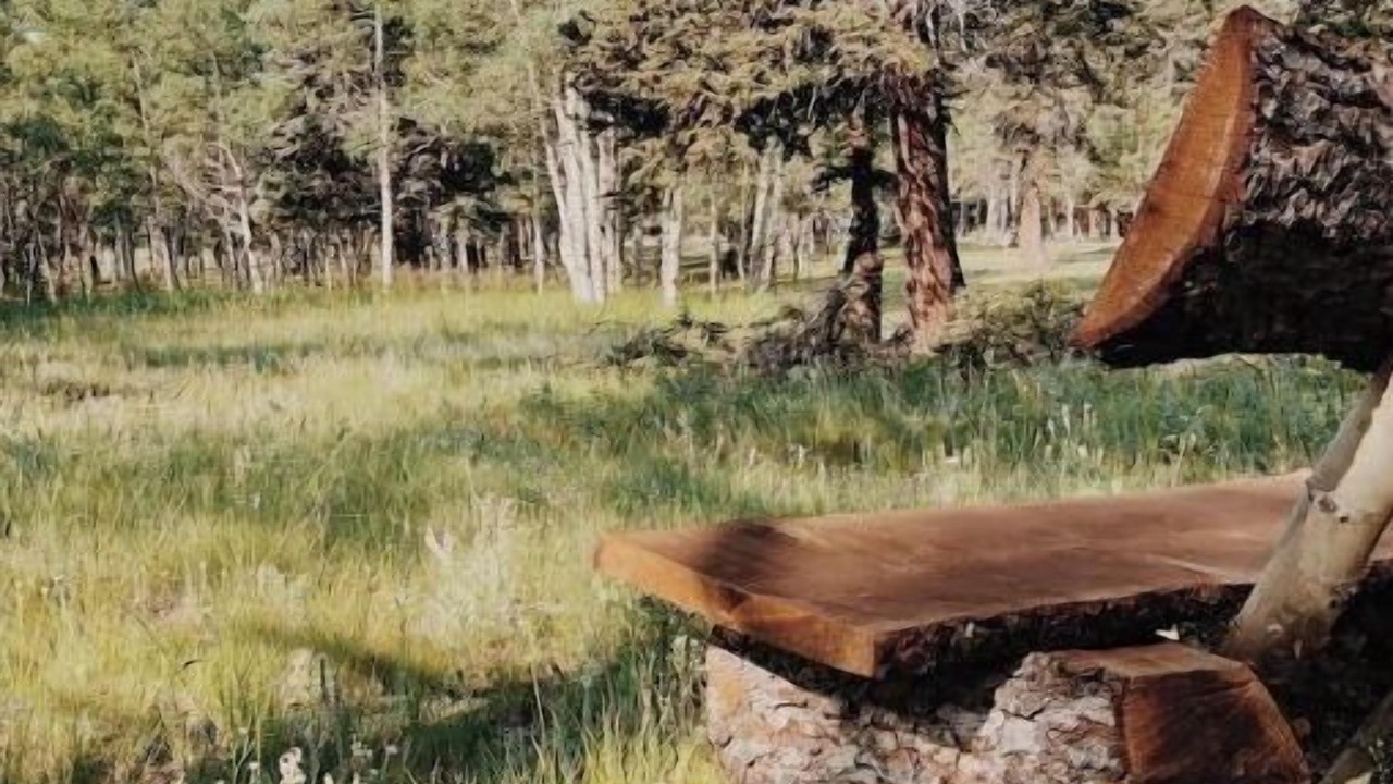 Photo of Outdoor in Divide