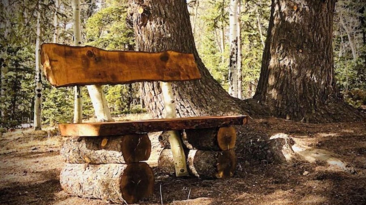 Photo of Outdoor in Divide