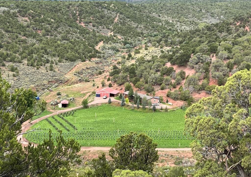 Photo of Outdoor in Burns