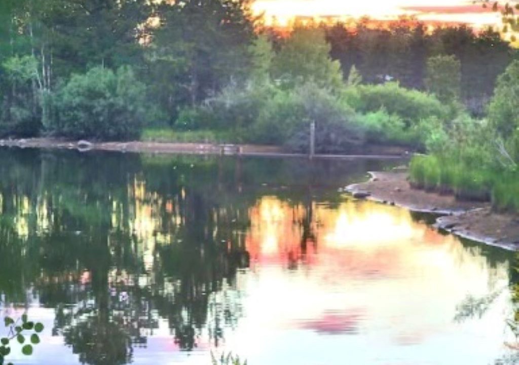 Photo of Others in Red Feather Lakes