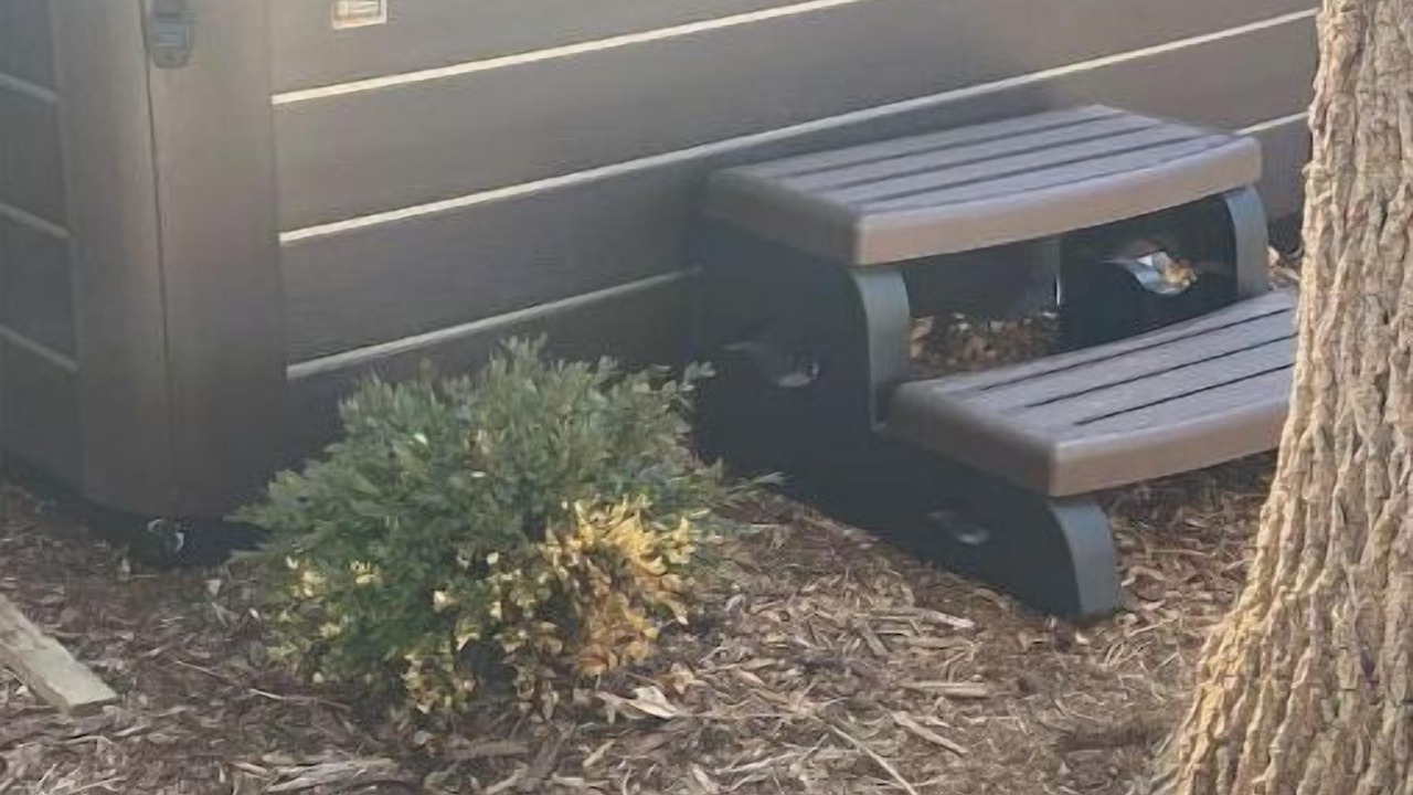 Photo of Outdoor in Southeast