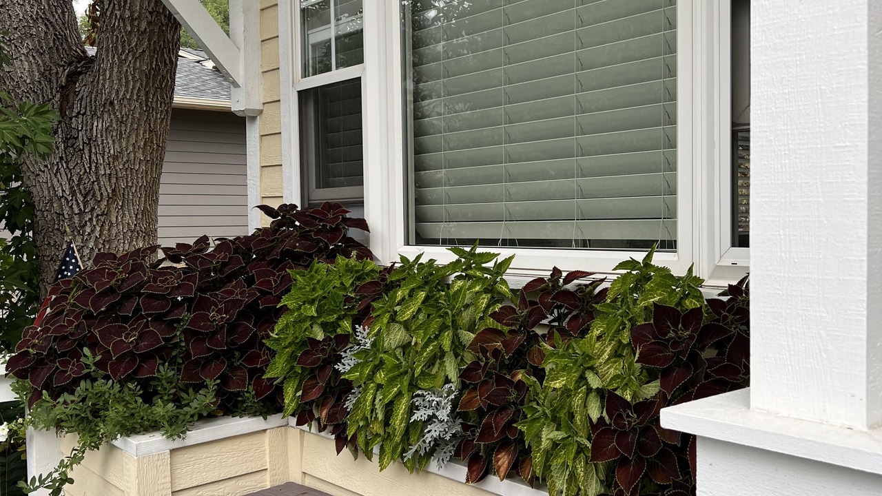 Photo of Patio Balcony in Broadmoor