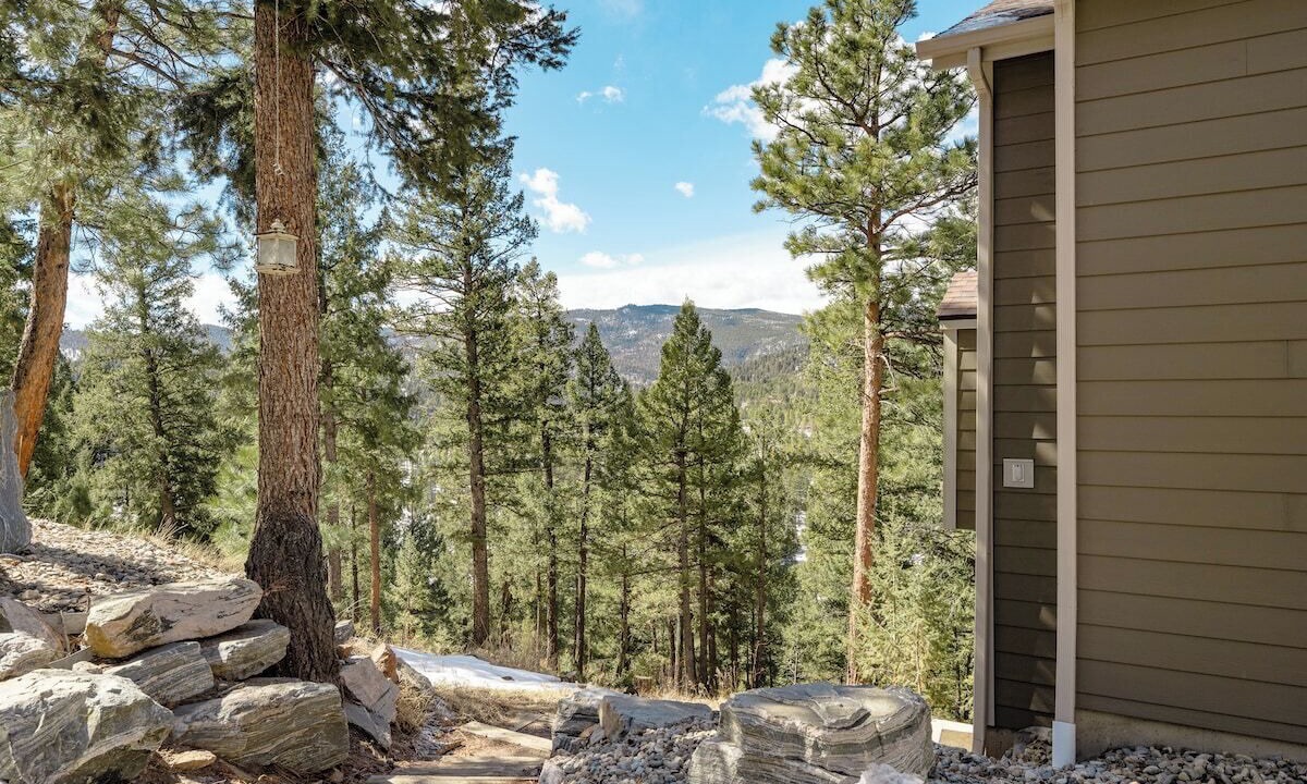 Photo of Others in Conifer