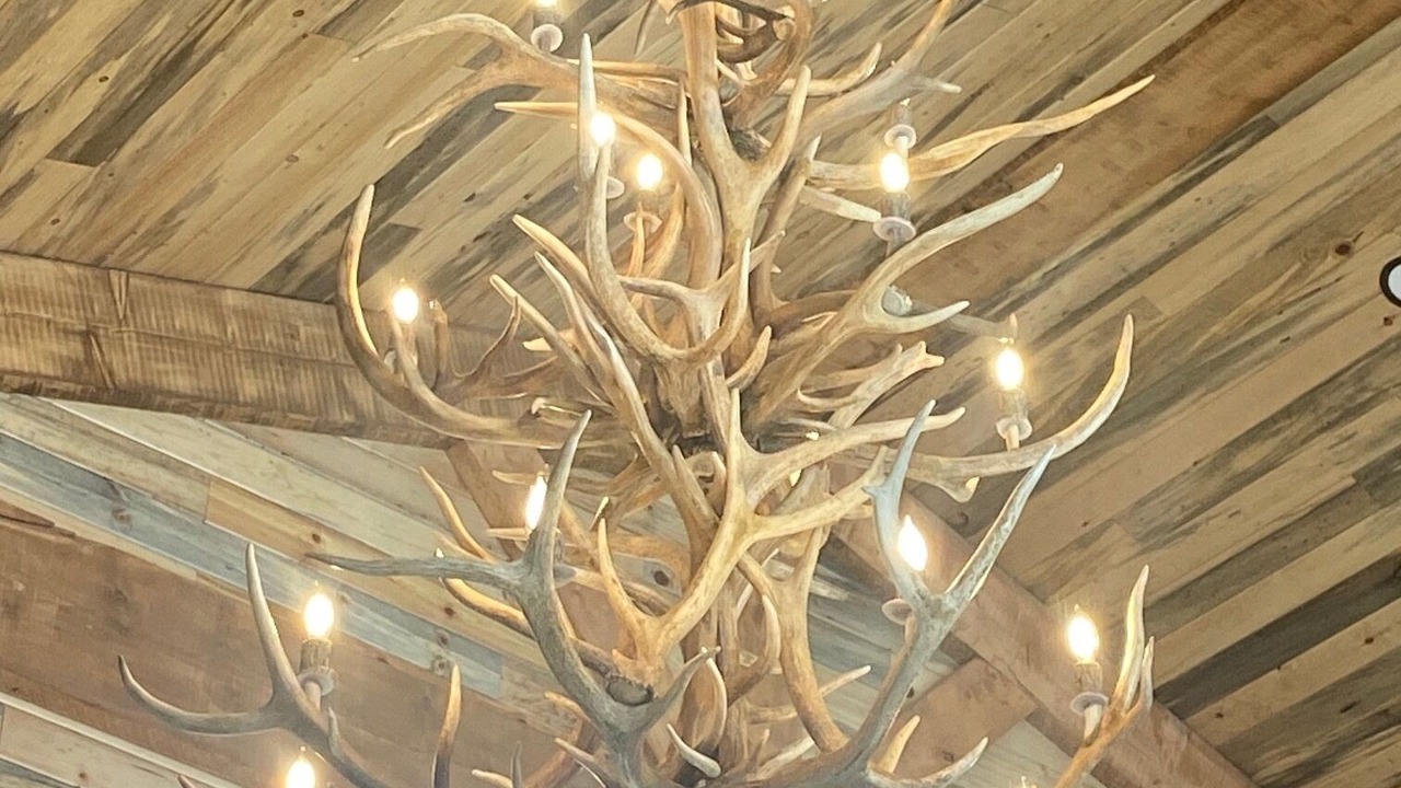 Photo of Others in South Fork