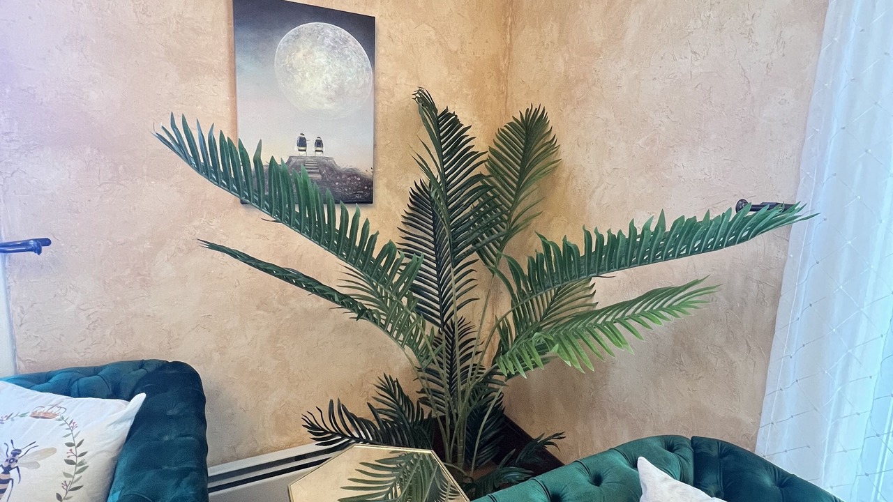 Photo of Livingroom in Monte Vista