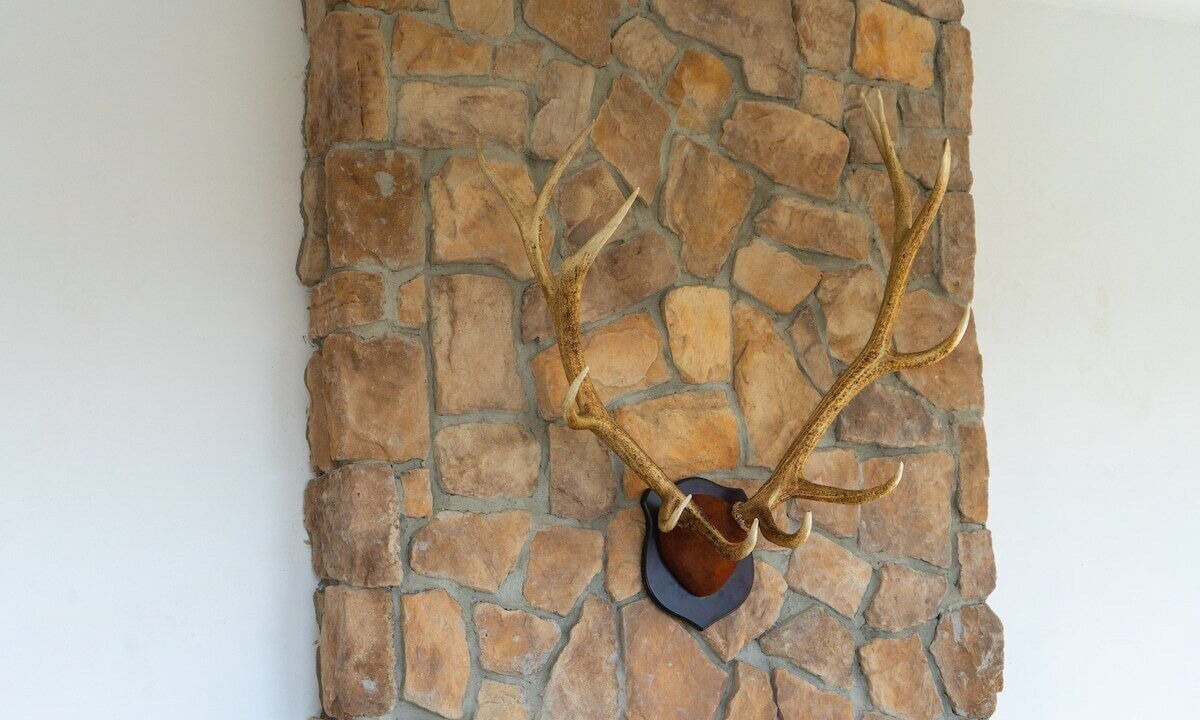 Photo of Outdoor in Zapata