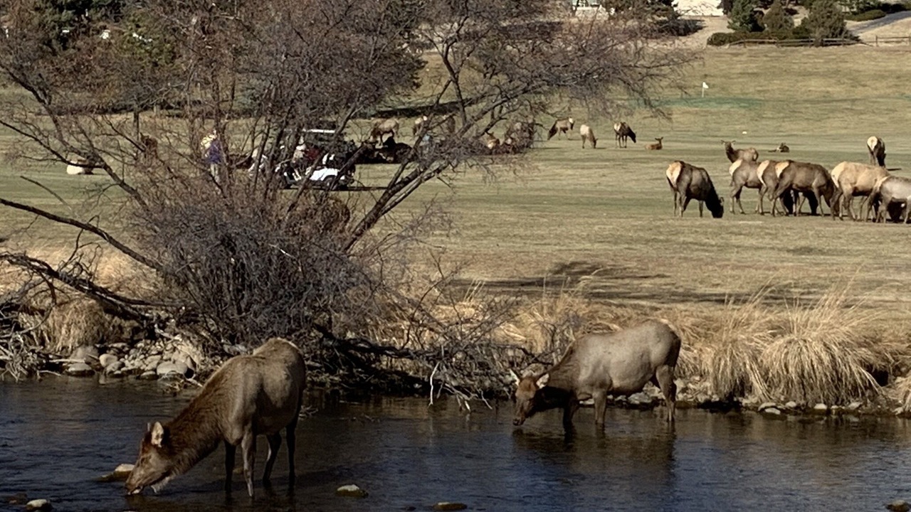 Photo of Outdoor in Stanley Hills