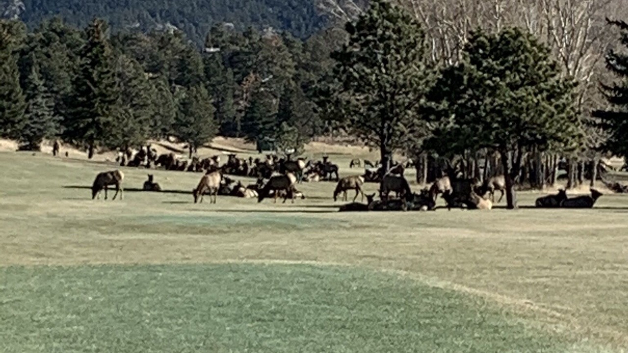 Photo of Others in Stanley Hills