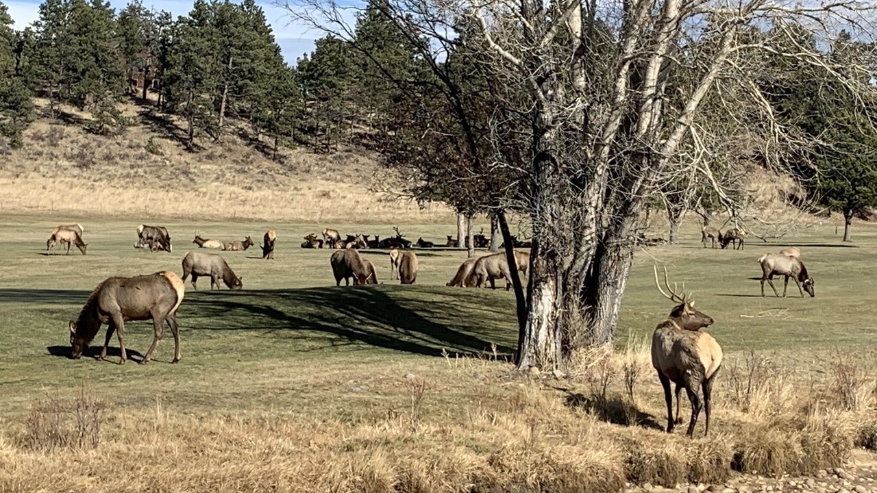 Photo of Others in Stanley Hills