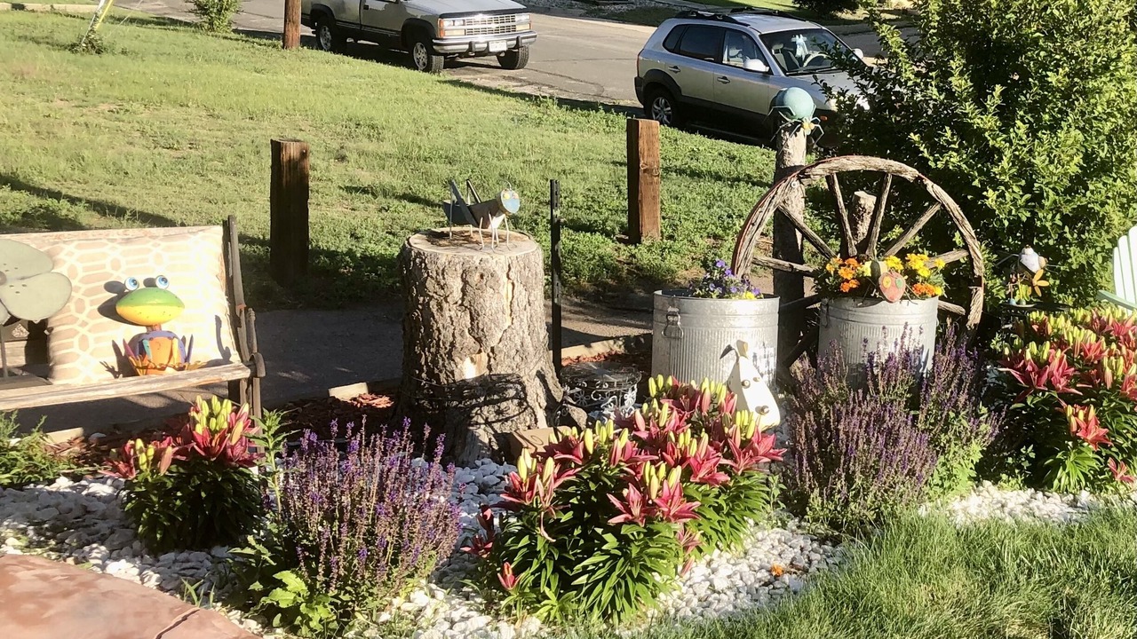 Photo of Outdoor in East Colorado Springs