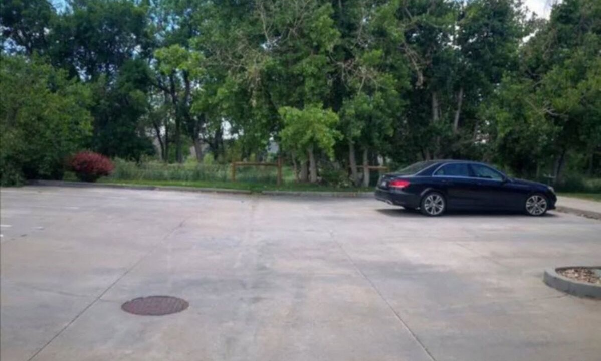Photo of Outdoor in Westchase