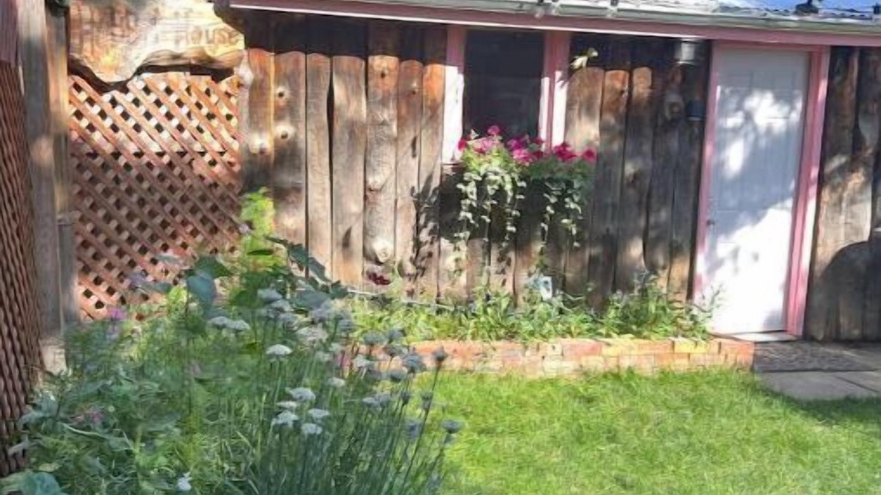 Photo of Outdoor in Nederland