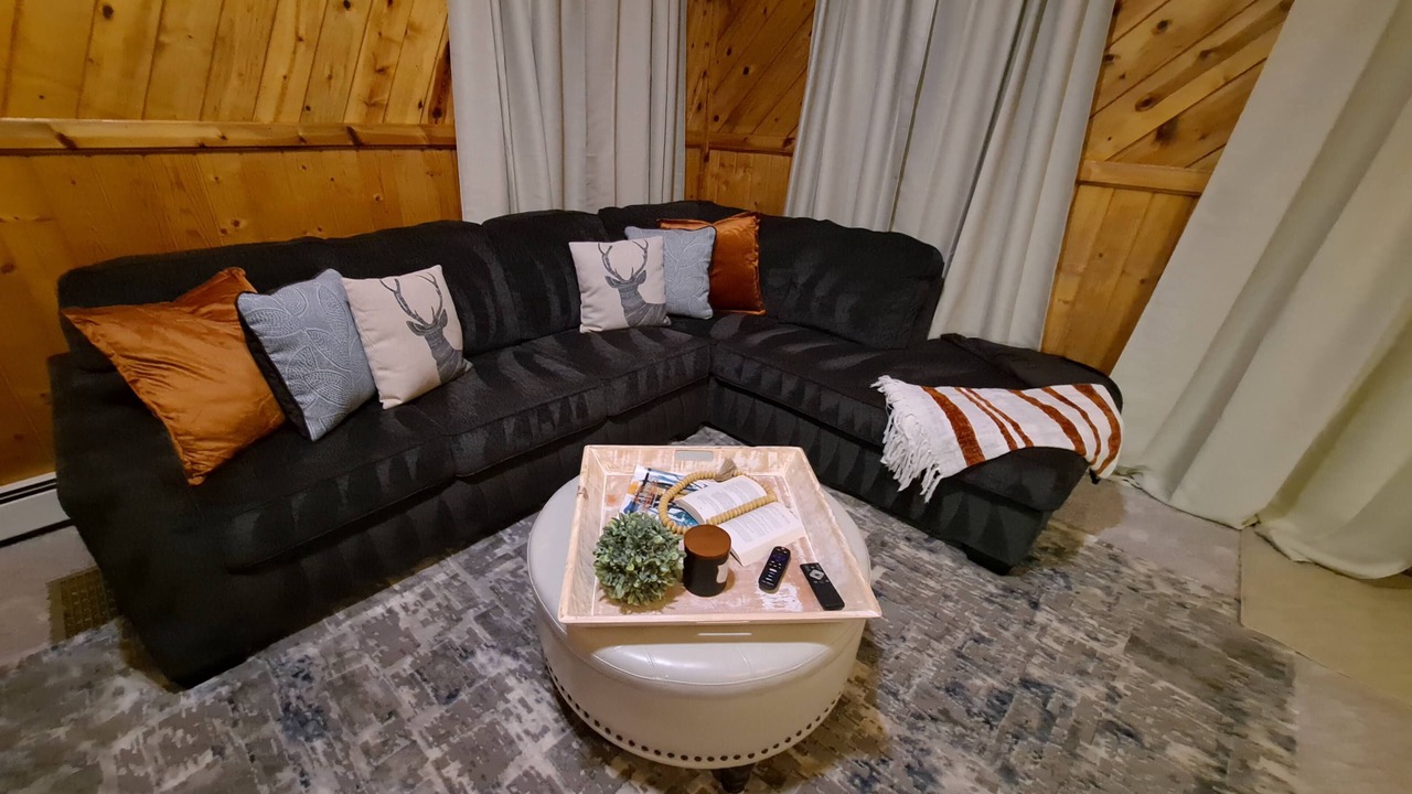 Photo of Livingroom in Downieville-Lawson-Dumont