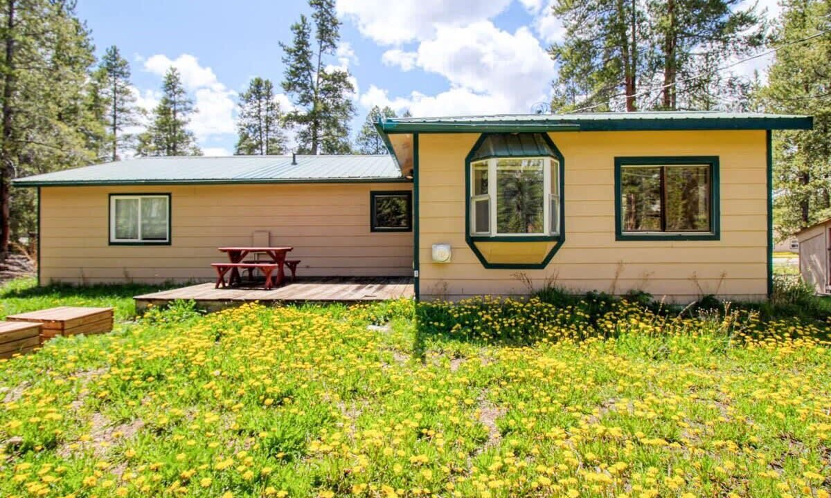 Photo of Others in Leadville North