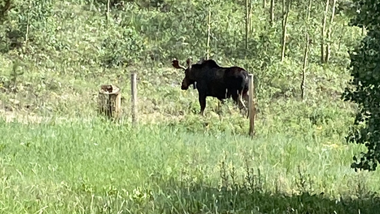 Photo of Others in Idaho Springs