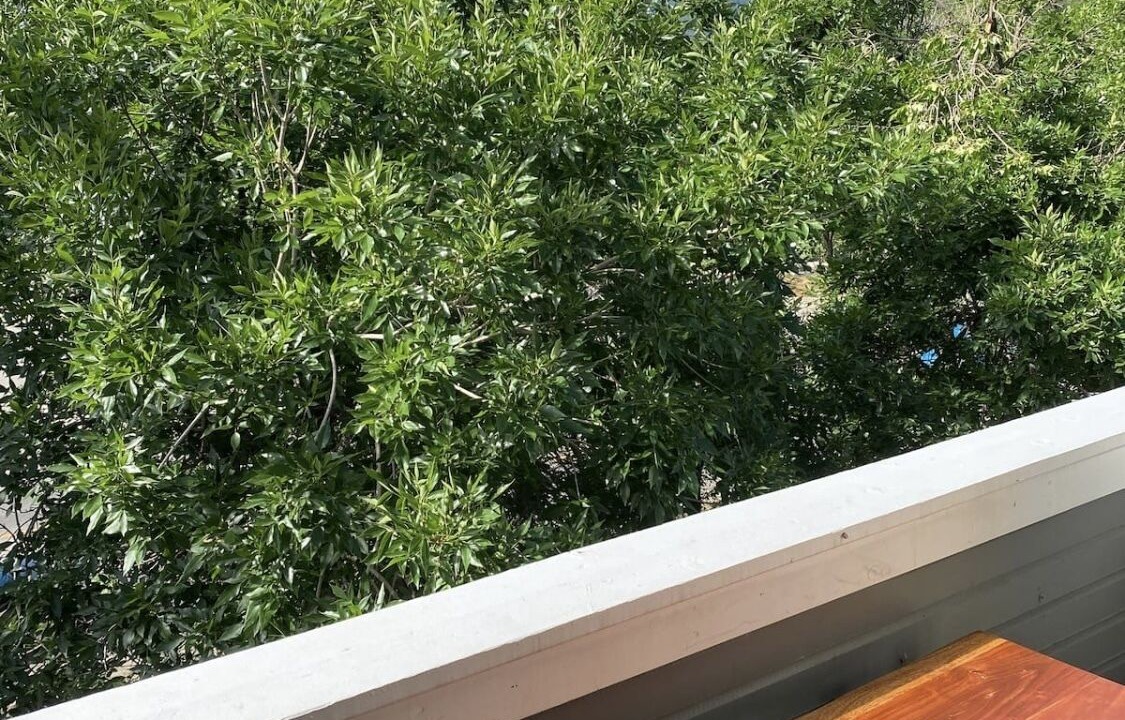 Photo of Patio Balcony in Whittier