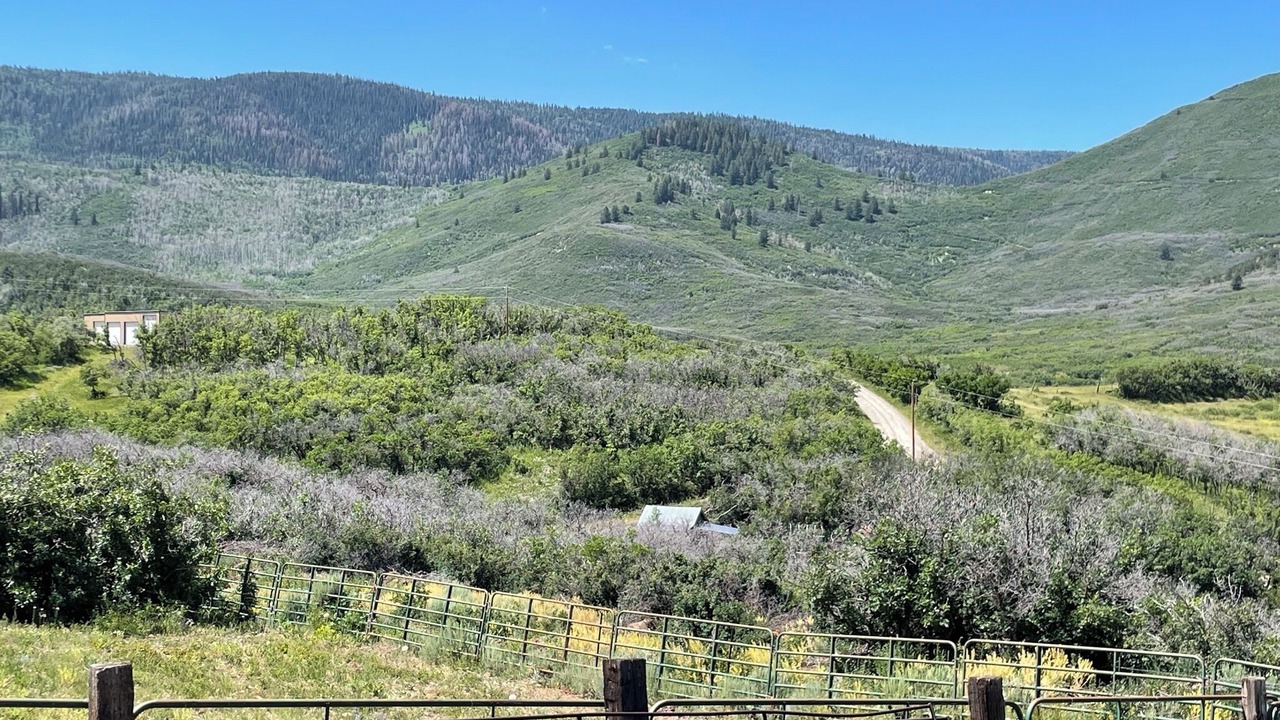 Photo of Outdoor in Collbran