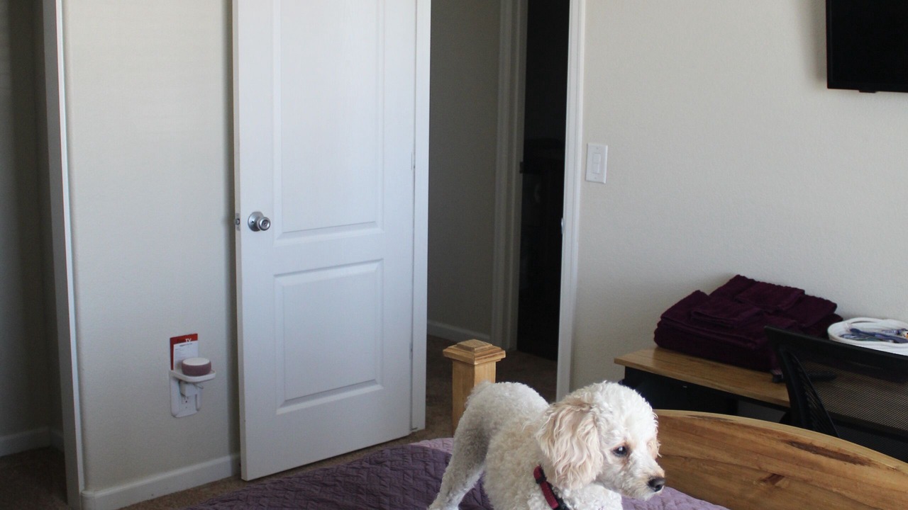 Photo of Bedroom in Dupont