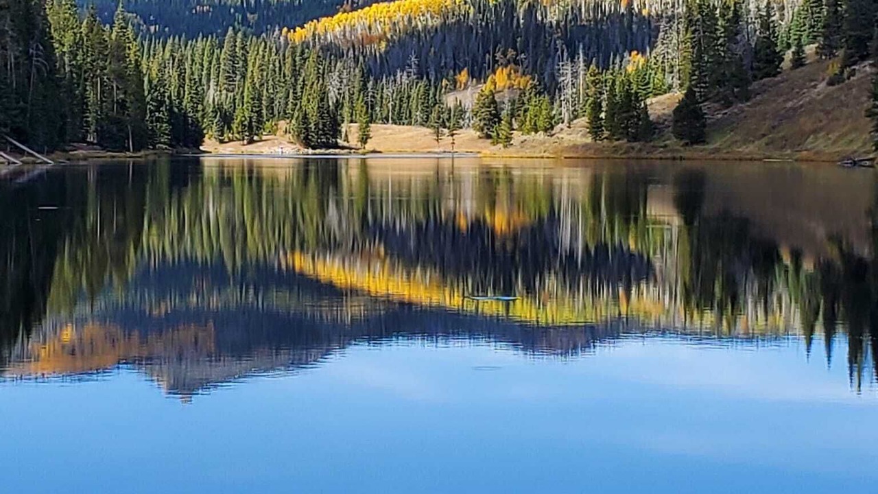 Photo of Outdoor in Clark