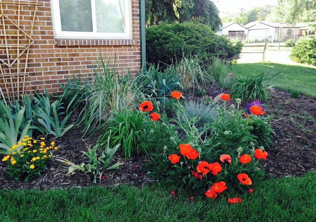 Photo of Outdoor in Athmar Park