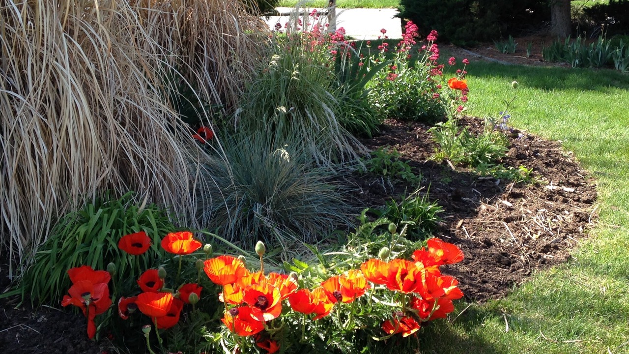 Photo of Outdoor in Athmar Park