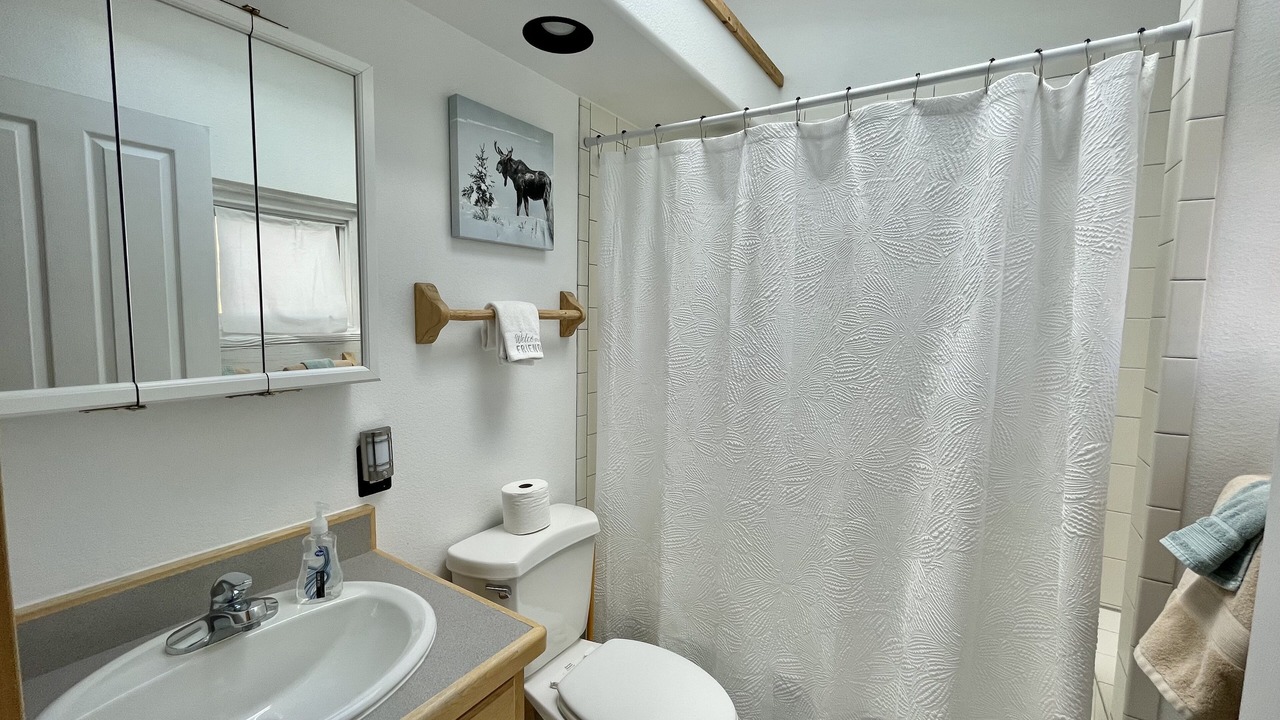 Photo of Bathroom in Alma
