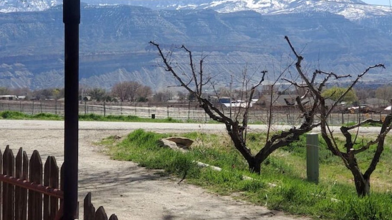Photo of Others in Palisade