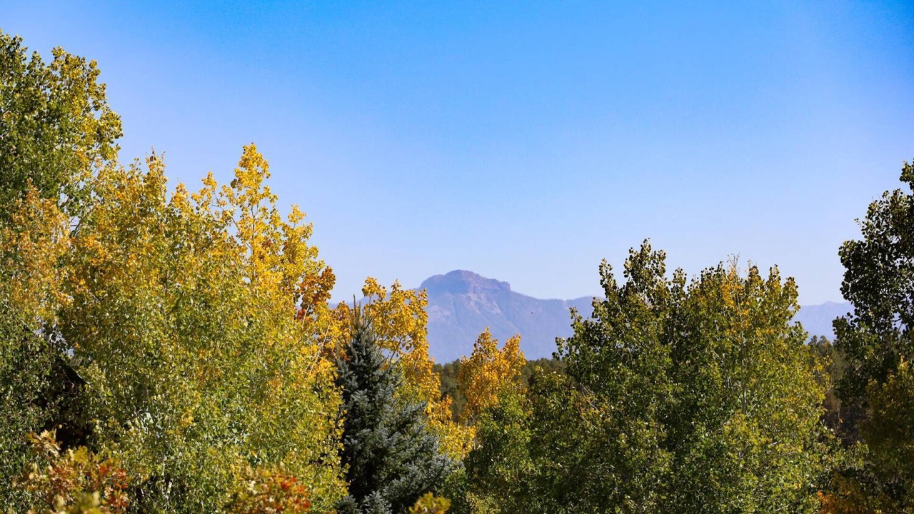 Photo of Patio Balcony in Pagosa Springs