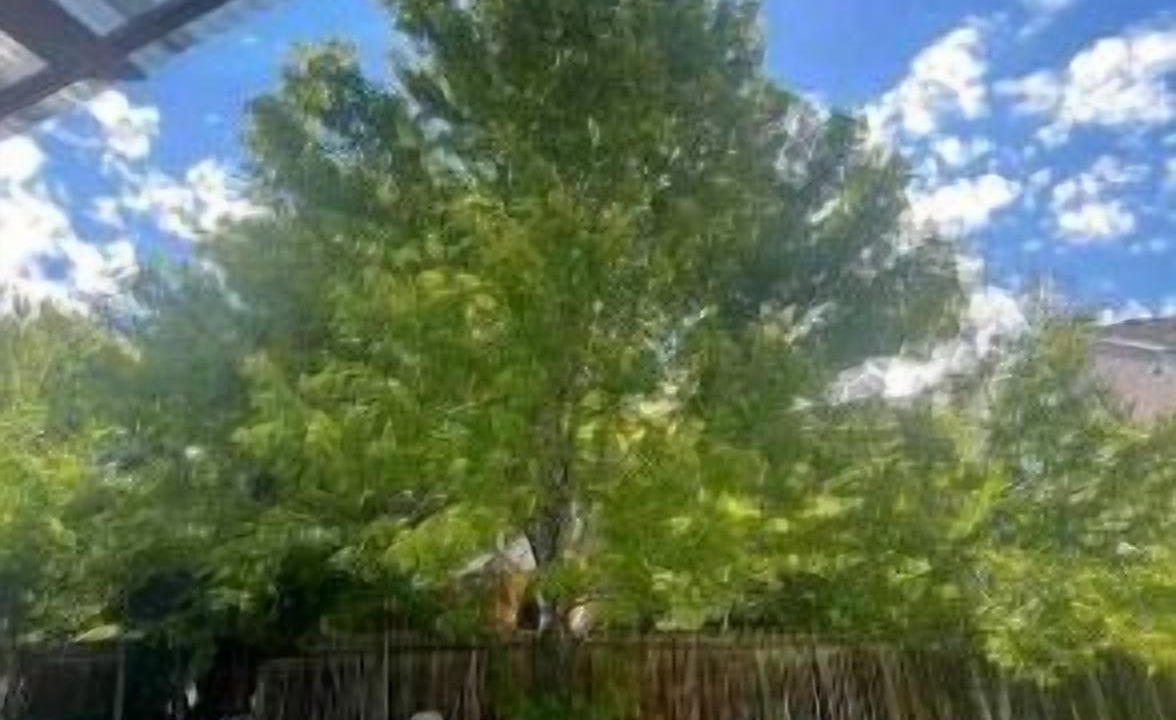 Photo of Outdoor in Aurora