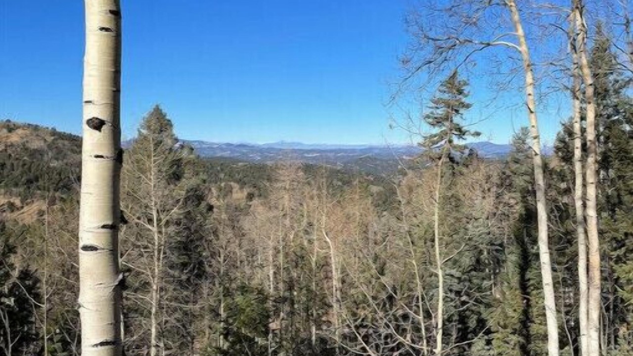 Photo of Others in Cripple Creek