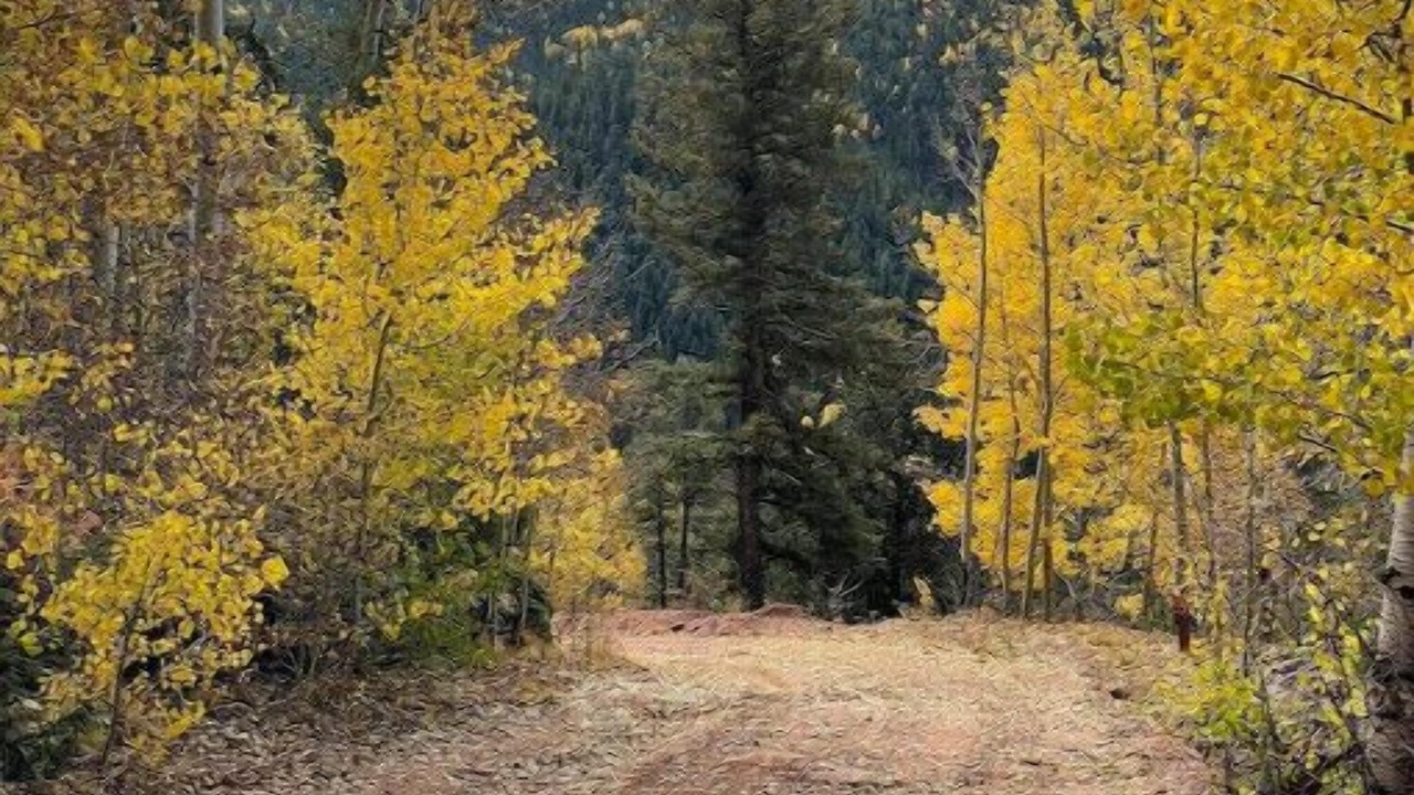 Photo of Outdoor in Cripple Creek