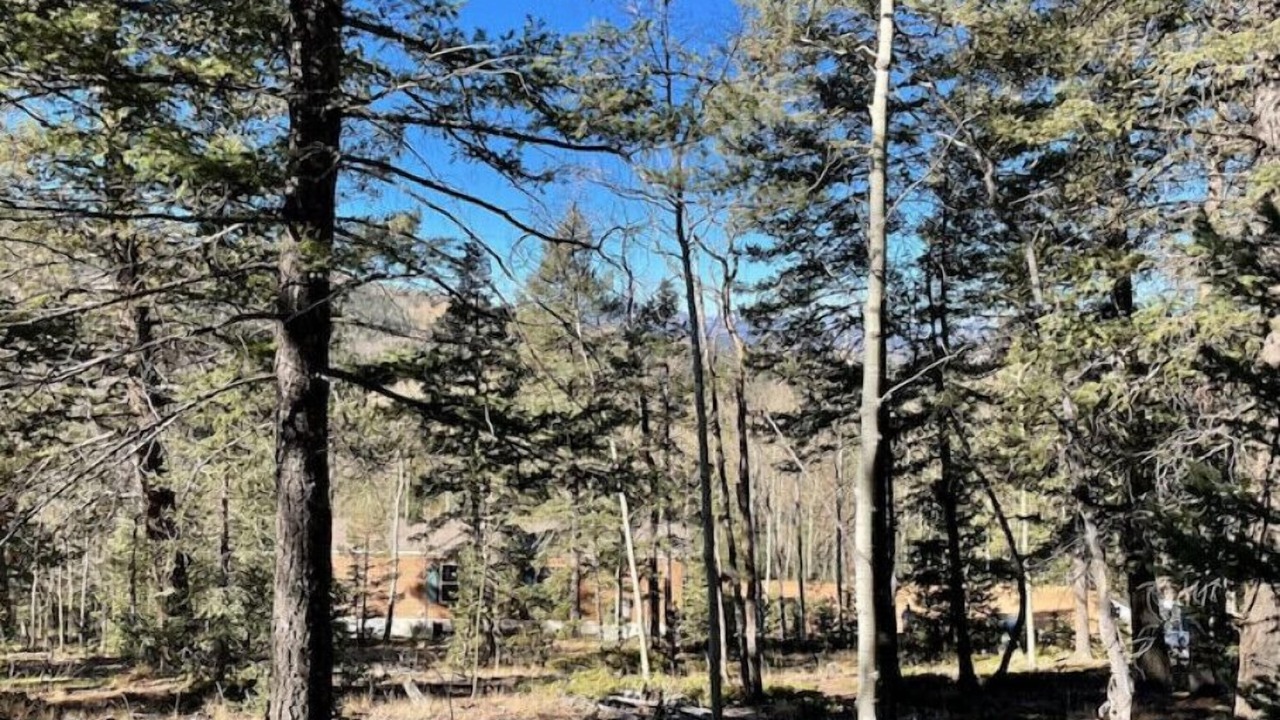 Photo of Outdoor in Cripple Creek