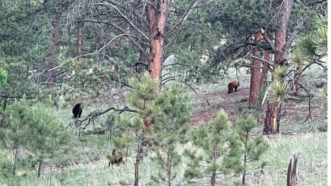 Photo of Others in Cripple Creek