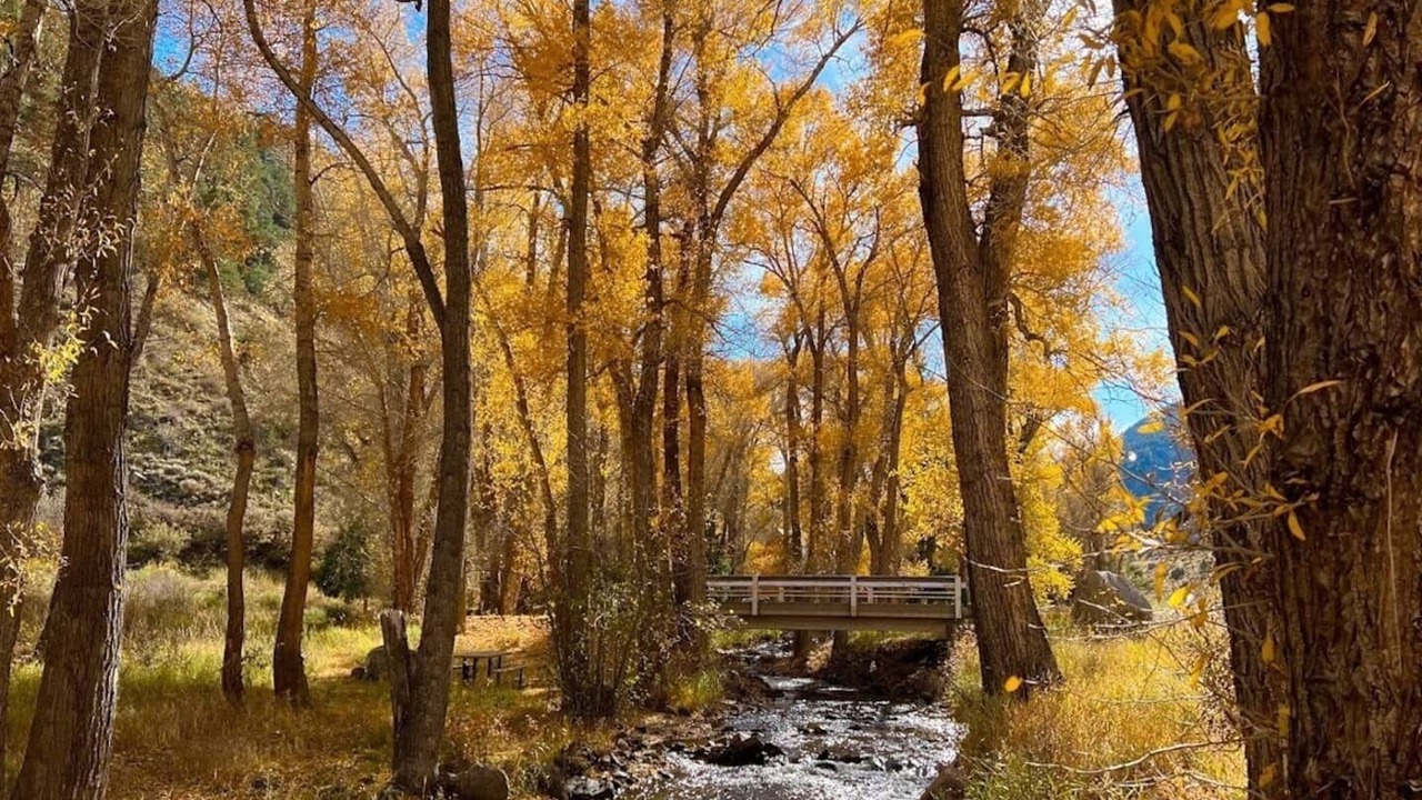 Photo of Others in Salida