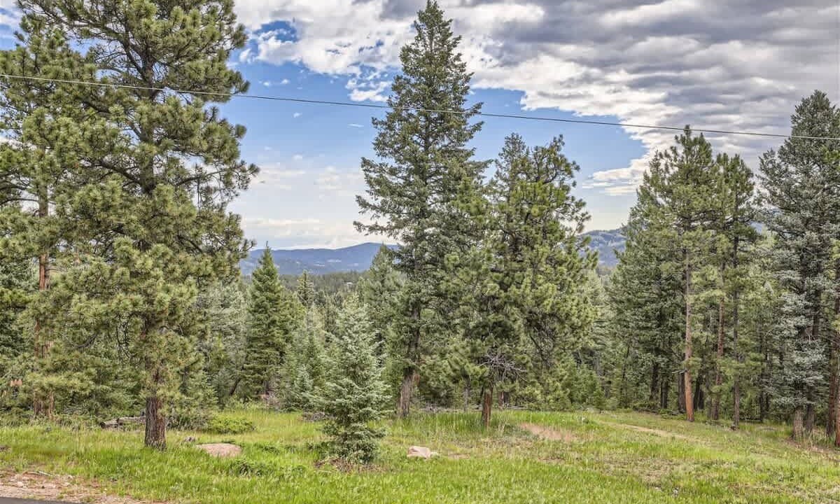 Photo of Outdoor in Evergreen Meadows