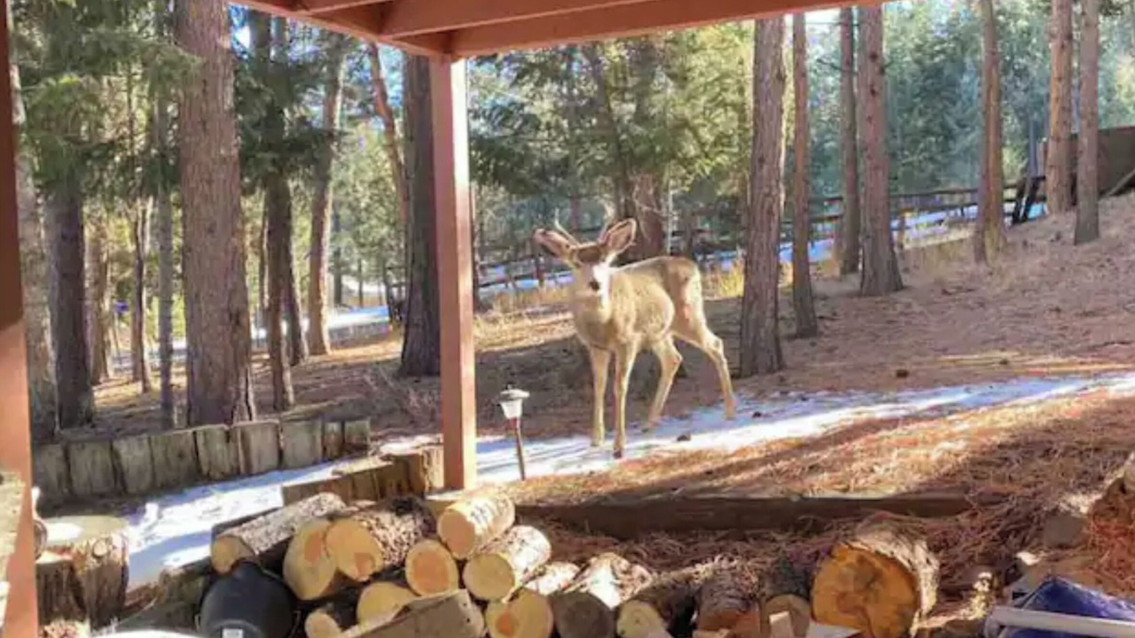 Photo of Others in Woodland Park