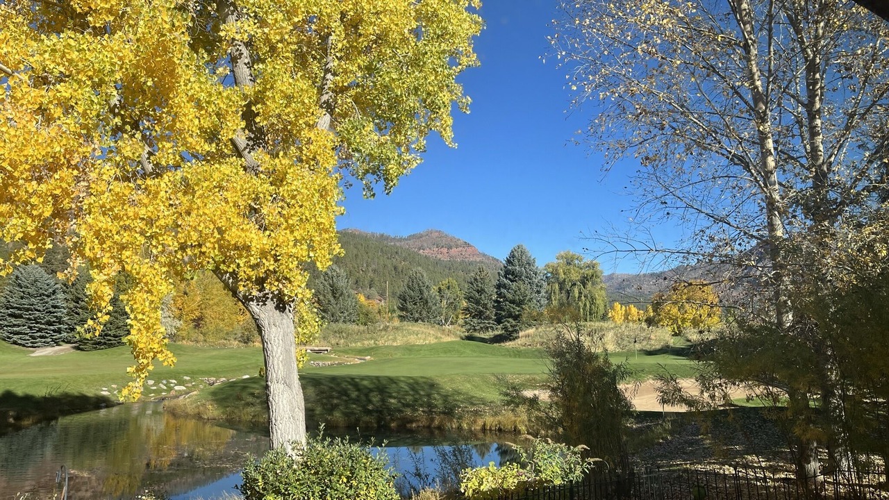 Photo of Outdoor in Dalton Ranch