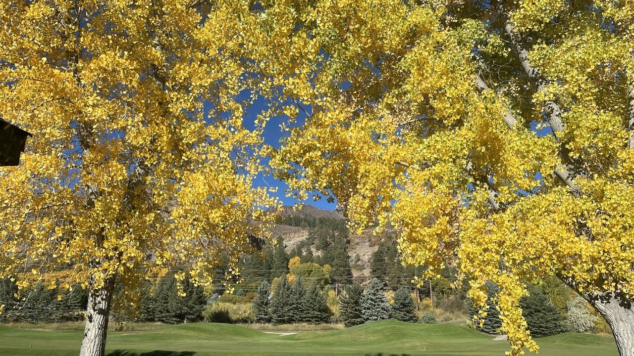 Photo of Others in Dalton Ranch