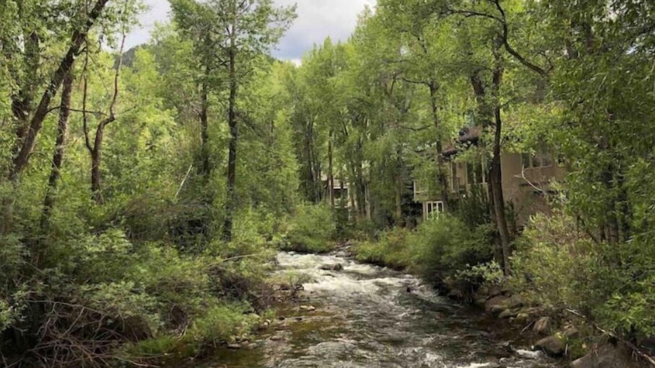 Photo of Others in Aspen