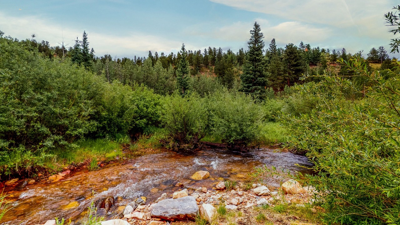 Photo of Outdoor in Bailey
