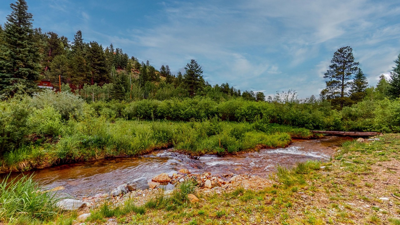 Photo of Outdoor in Bailey