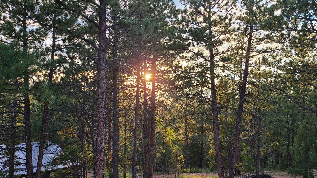 Photo of Outdoor in Divide