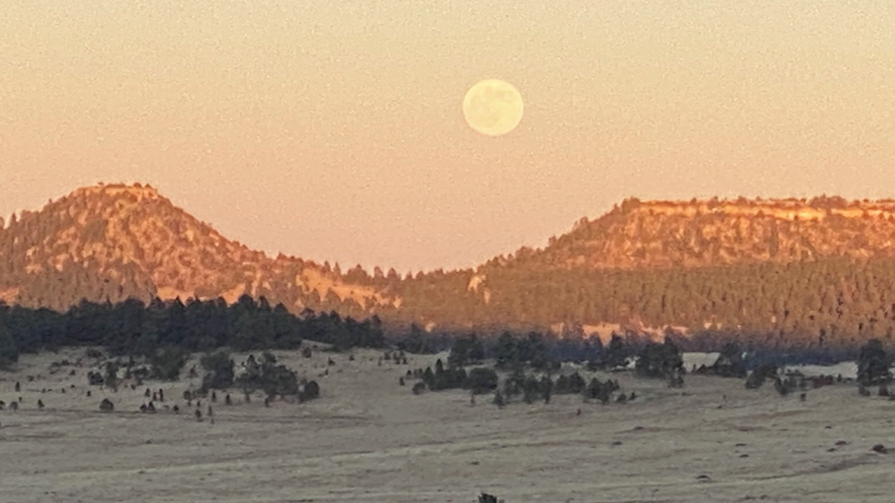 Photo of Others in Peyton
