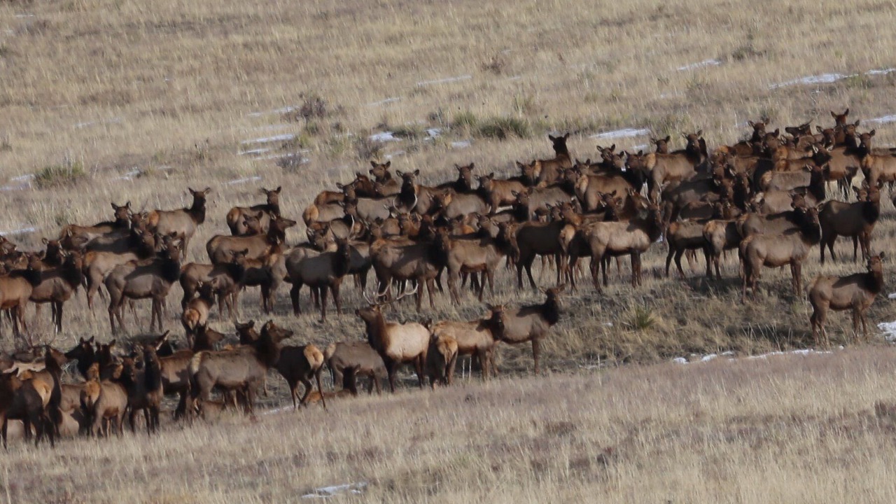 Photo of Others in Peyton