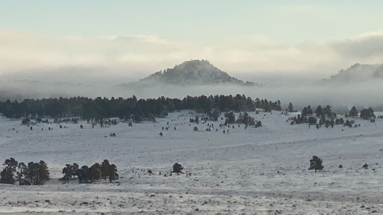 Photo of Others in Peyton