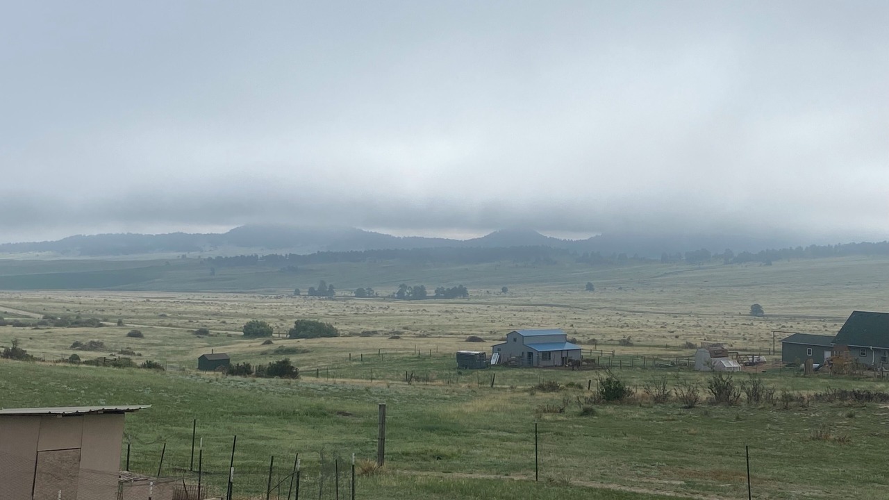 Photo of Others in Peyton
